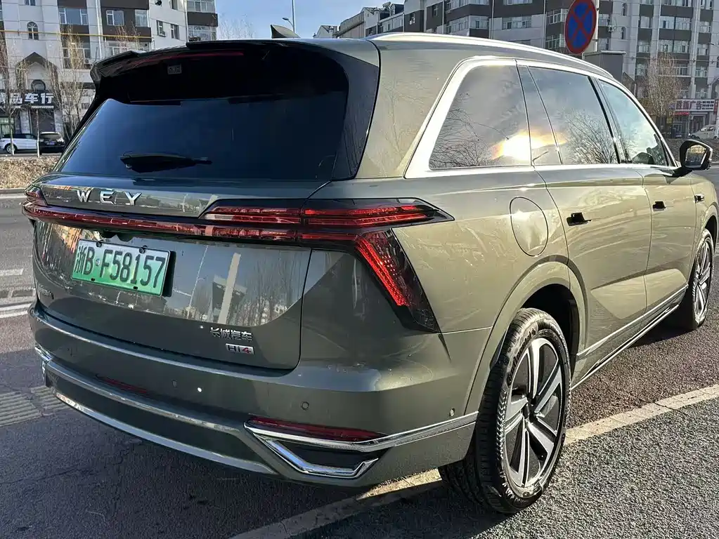 WEI PAI WEI BRAND BLUE MOUNTAIN