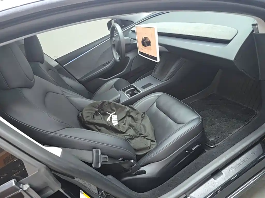 Tesla Model 3 — миниатюра 25