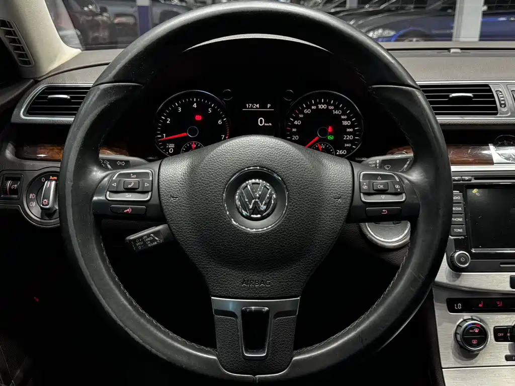 Volkswagen Magotan (Import) — миниатюра 7
