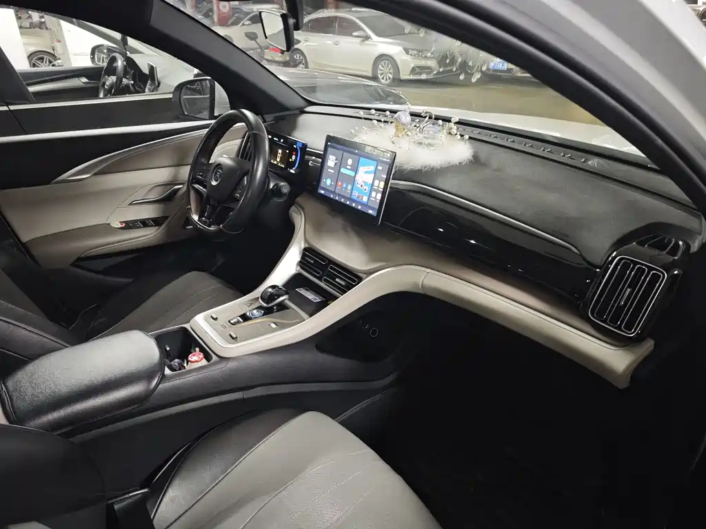 BYD SONGJIANG NEW ENERGY