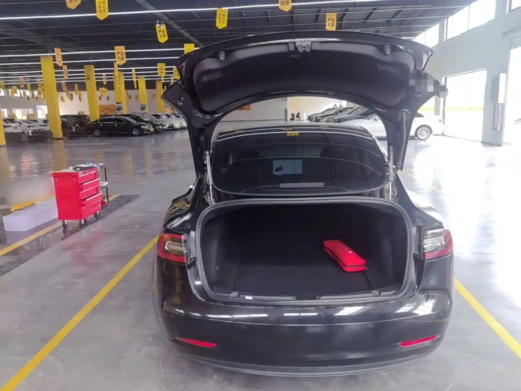 Tesla Model 3 — миниатюра 19