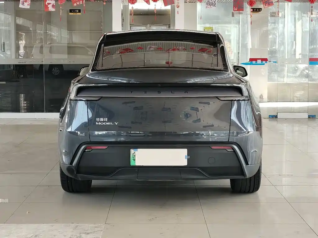 Tesla Model Y — миниатюра 5