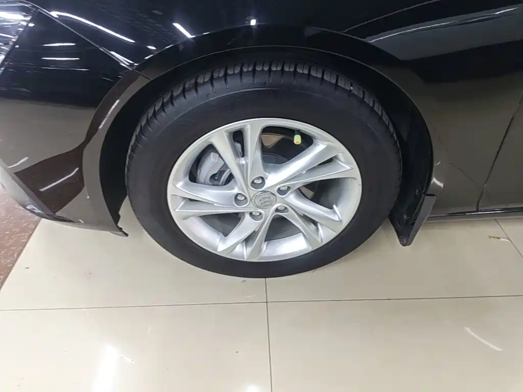 Buick Regal — миниатюра 23