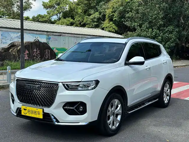 HAVAL  H6