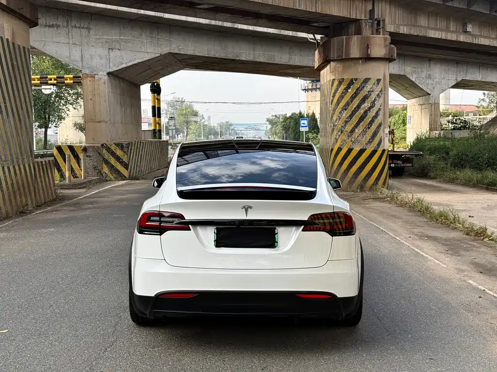 Tesla Model X — миниатюра 3