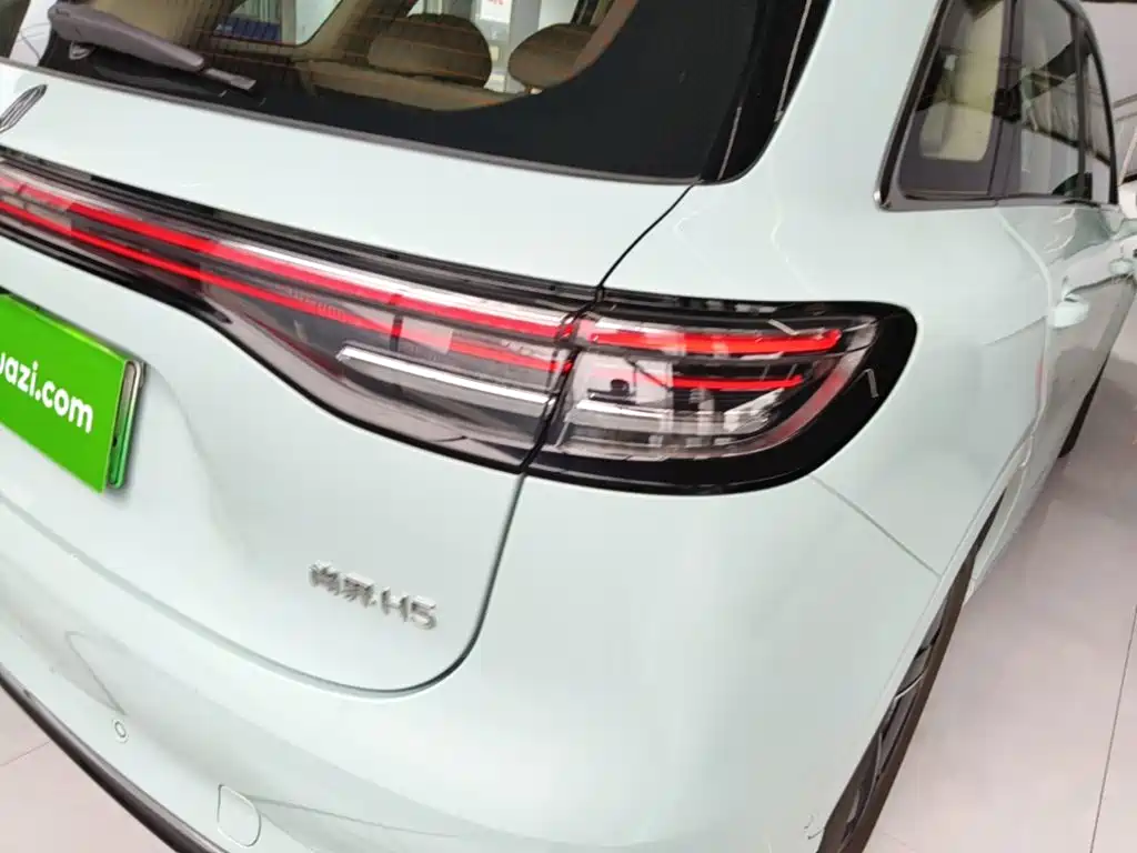 Shangjie Shangjie H5 — миниатюра 8