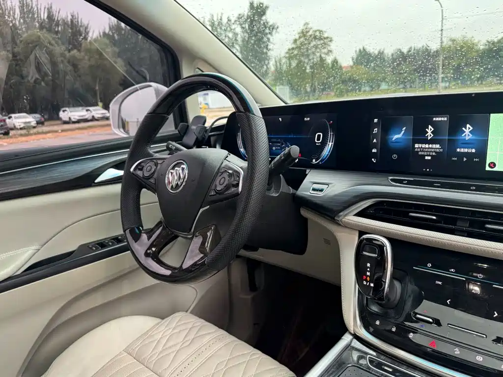 Buick GL8 — миниатюра 36