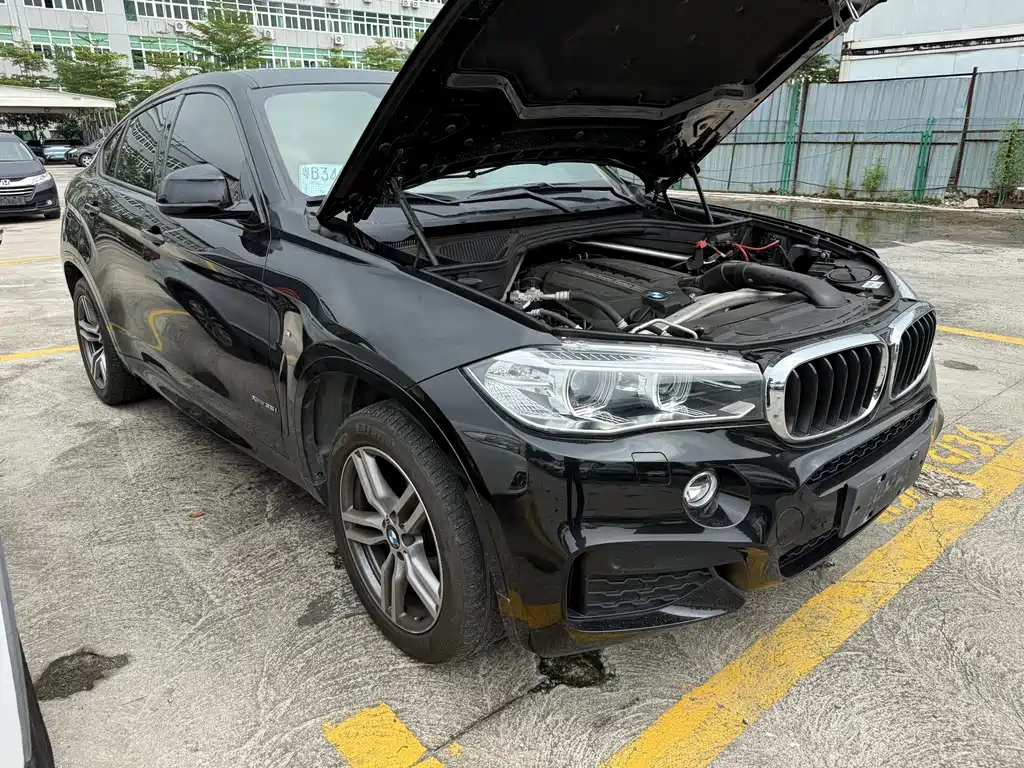 BMW X6 — миниатюра 2
