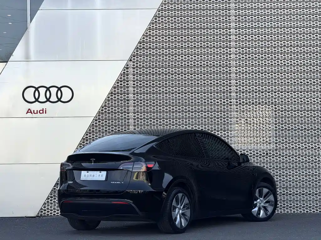 Tesla Model Y — миниатюра 4