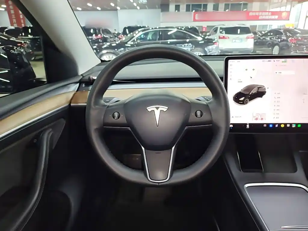 Tesla Model Y — миниатюра 11