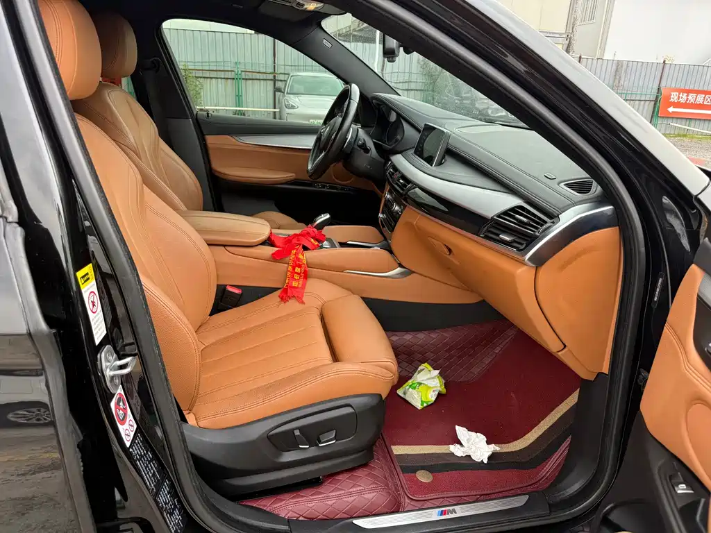 BMW X6 — миниатюра 7