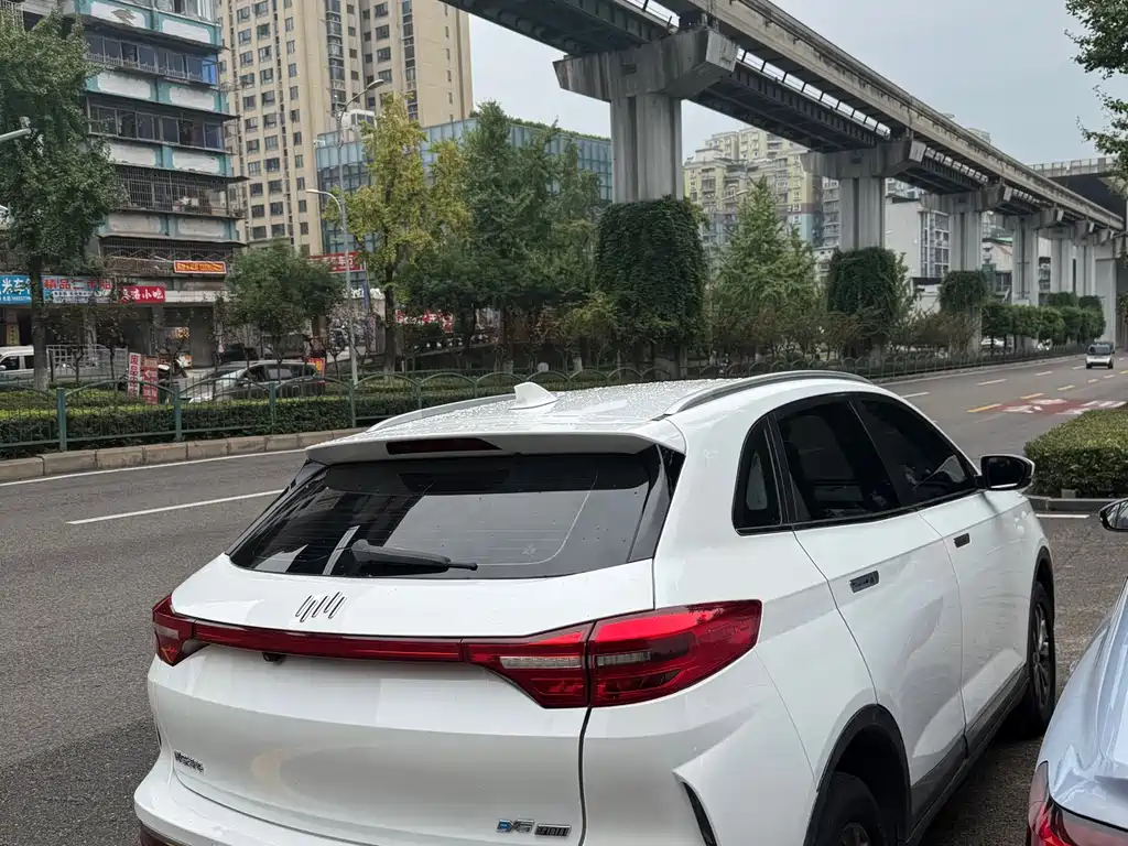 WM Motor EX5 — миниатюра 9