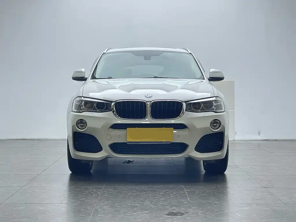 BMW X4 xDrive20i M Sport Type, фото 2