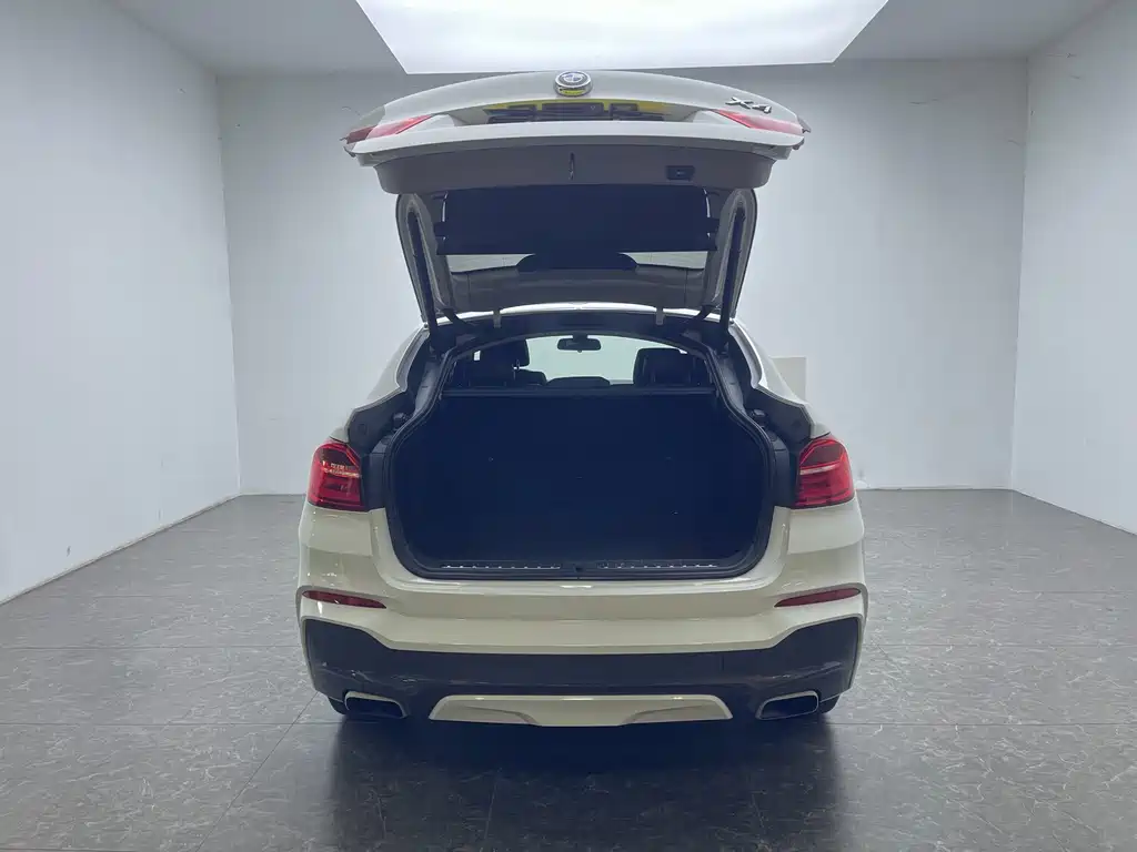 BMW X4 xDrive20i M Sport Type, фото 7