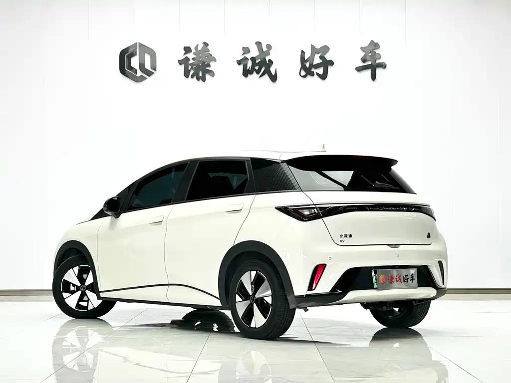 BYD Dolphin — миниатюра 7
