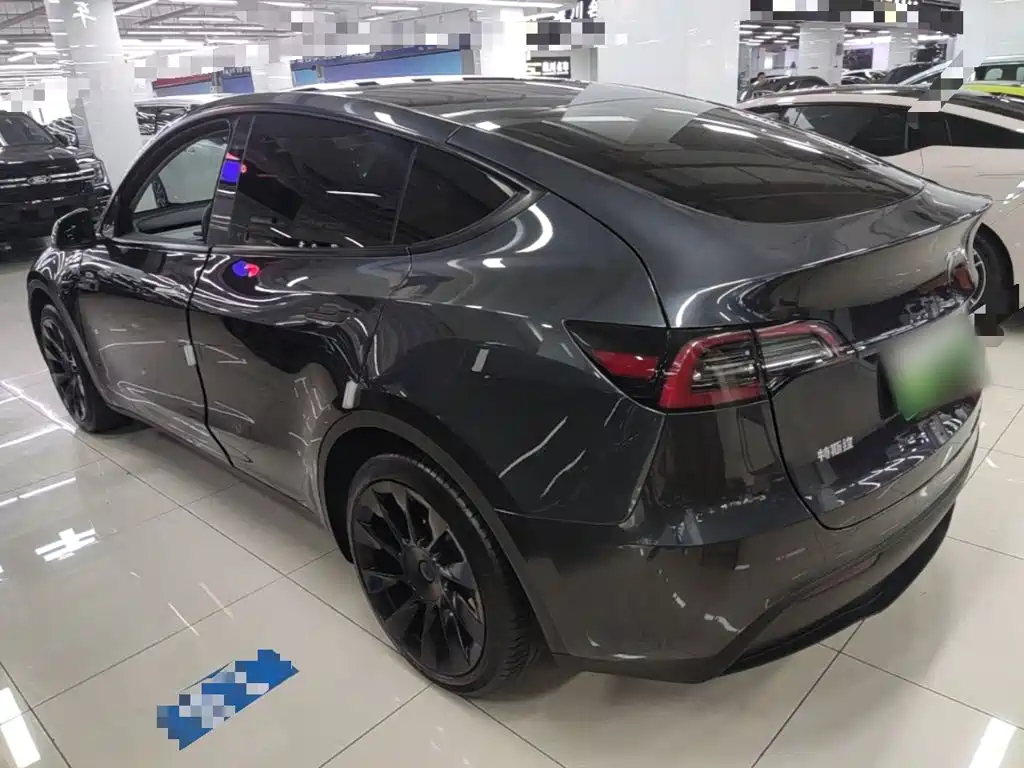 Tesla Model Y — миниатюра 5