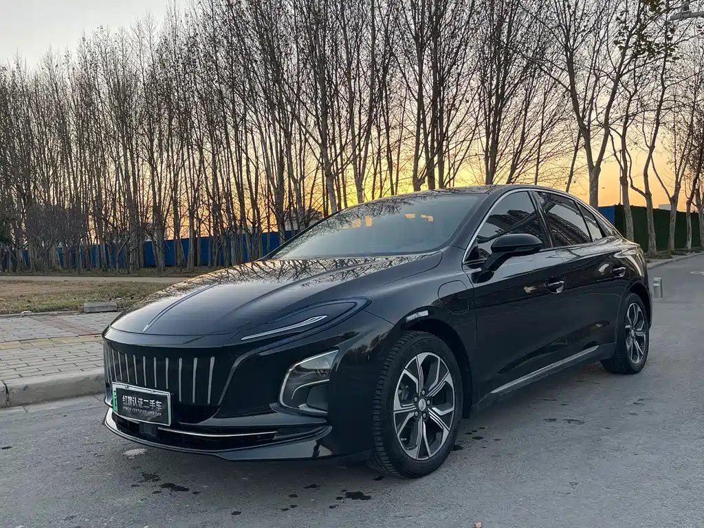 Hongqi HONGQI E QM5