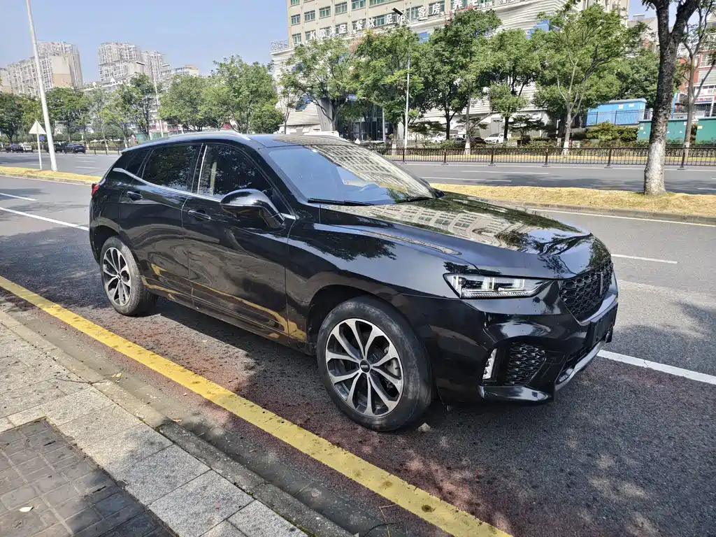 Wey Wey VV7 — миниатюра 3