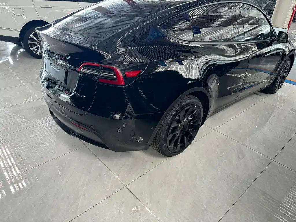 Tesla Model Y — миниатюра 7
