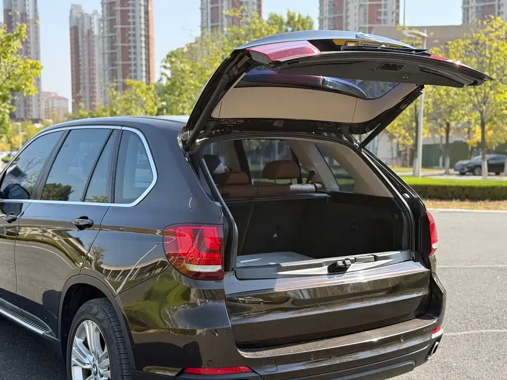 BMW X5 (Import) — миниатюра 8