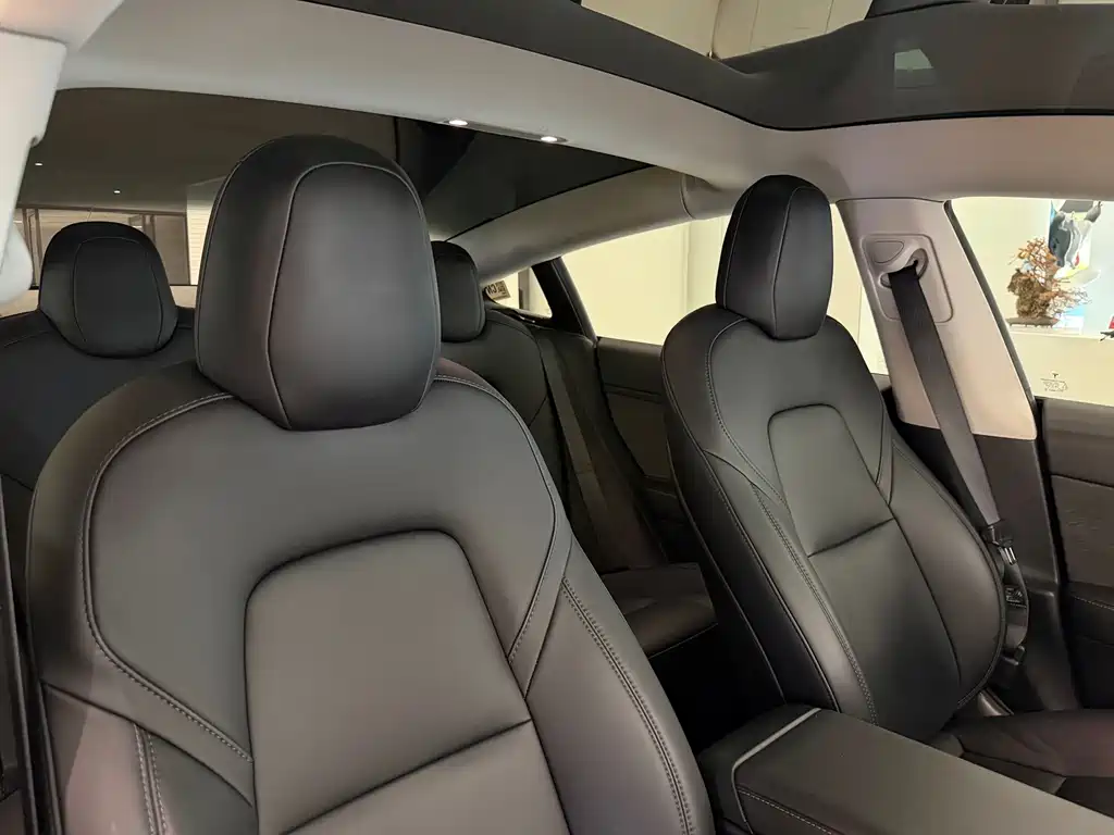 Tesla Model 3 — миниатюра 15