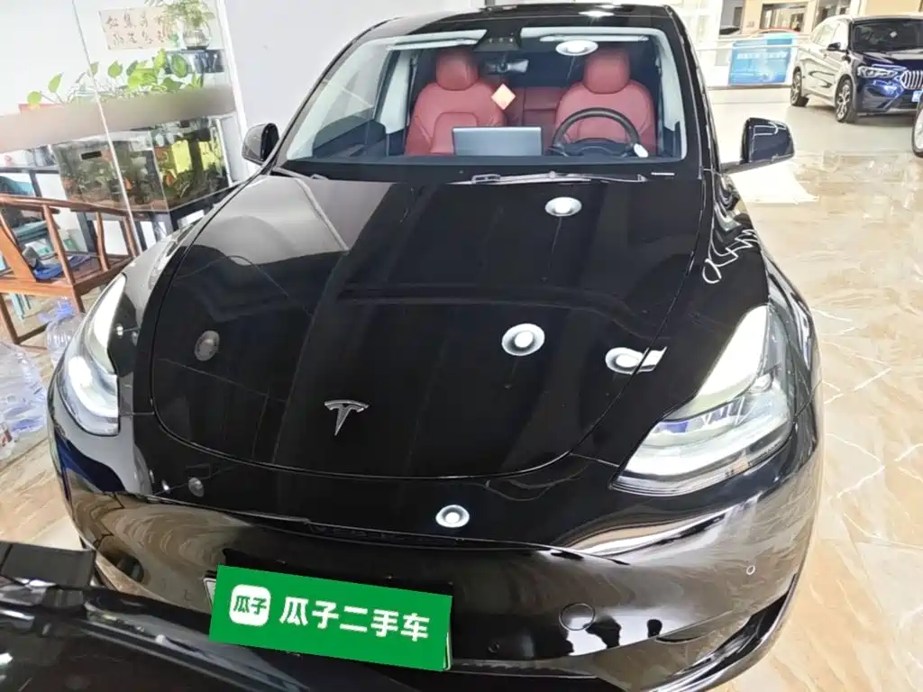 Tesla Model Y — миниатюра 3