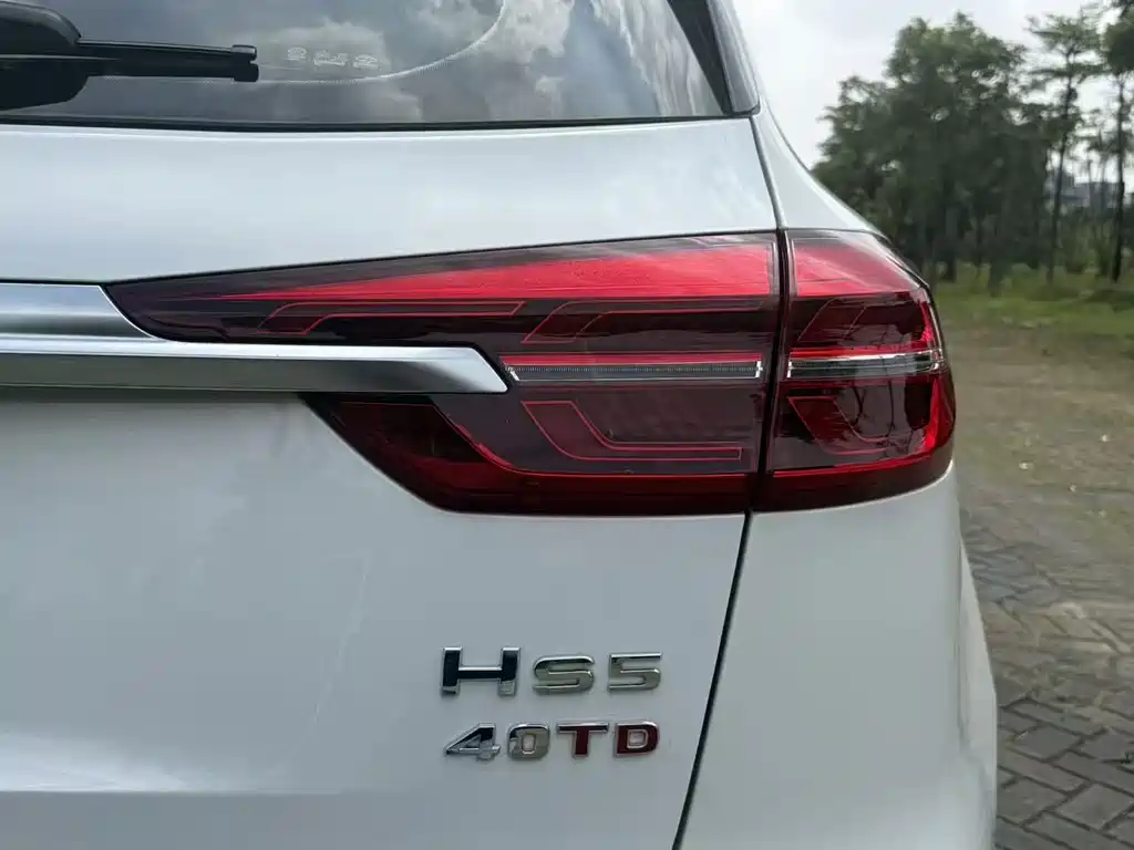 Hongqi Hongqi HS5 — миниатюра 17
