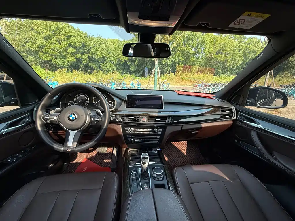 BMW X5 (Import) — миниатюра 12