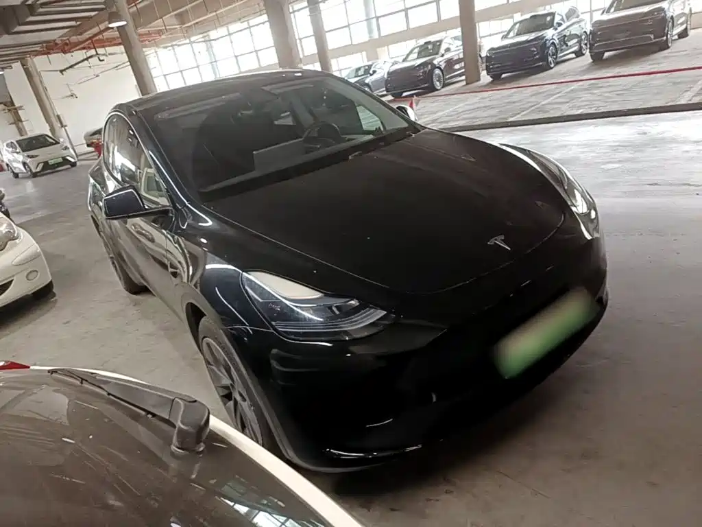 Tesla Model Y — миниатюра 4