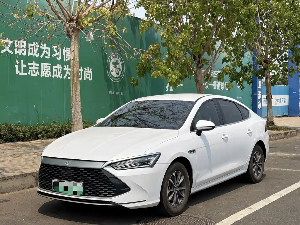 Byd Qin PLUS 2024