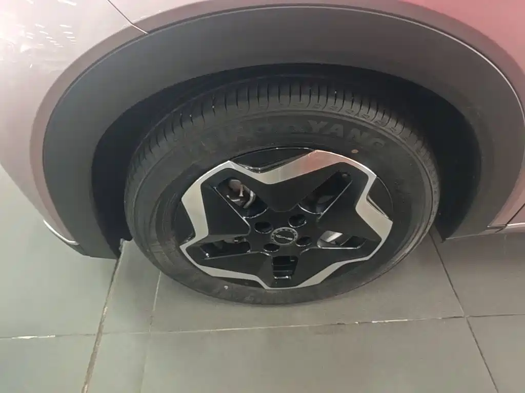 BYD Dolphin — миниатюра 23