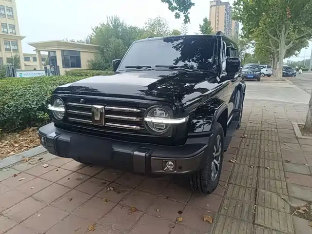 Tank 300