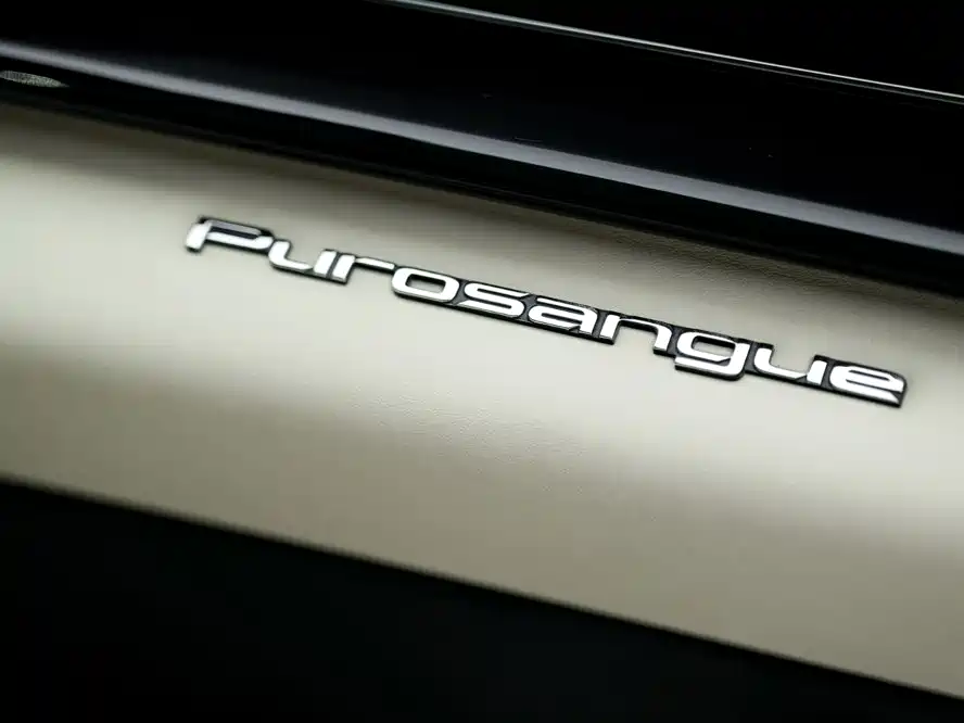 Ferrari Purosangue — миниатюра 22