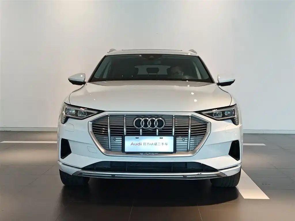 Audi e-tron (Import) — миниатюра 2