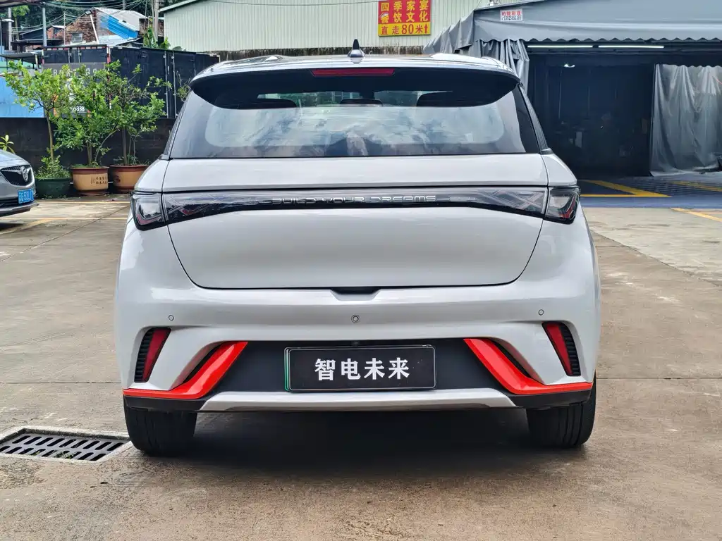 BYD Dolphin — миниатюра 5