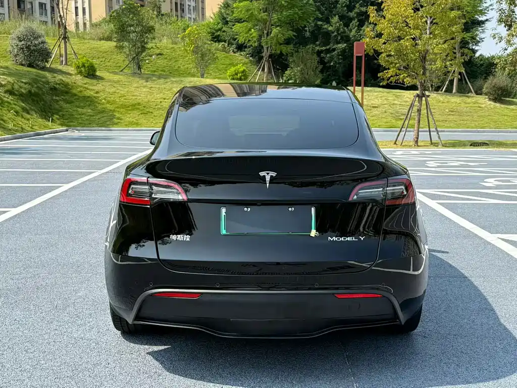 Tesla Model Y — миниатюра 8