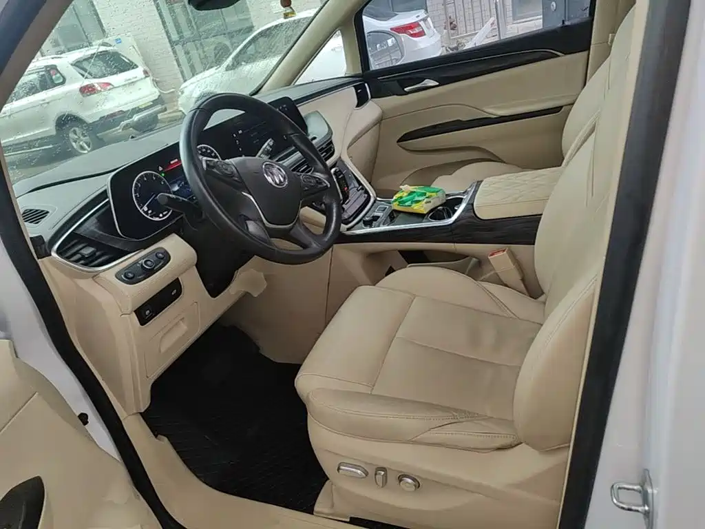 Buick GL8 — миниатюра 15