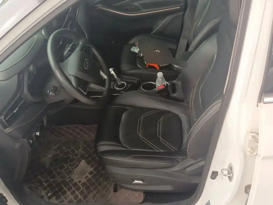 JAC JAC iEVS4 2019 Luxury Smart