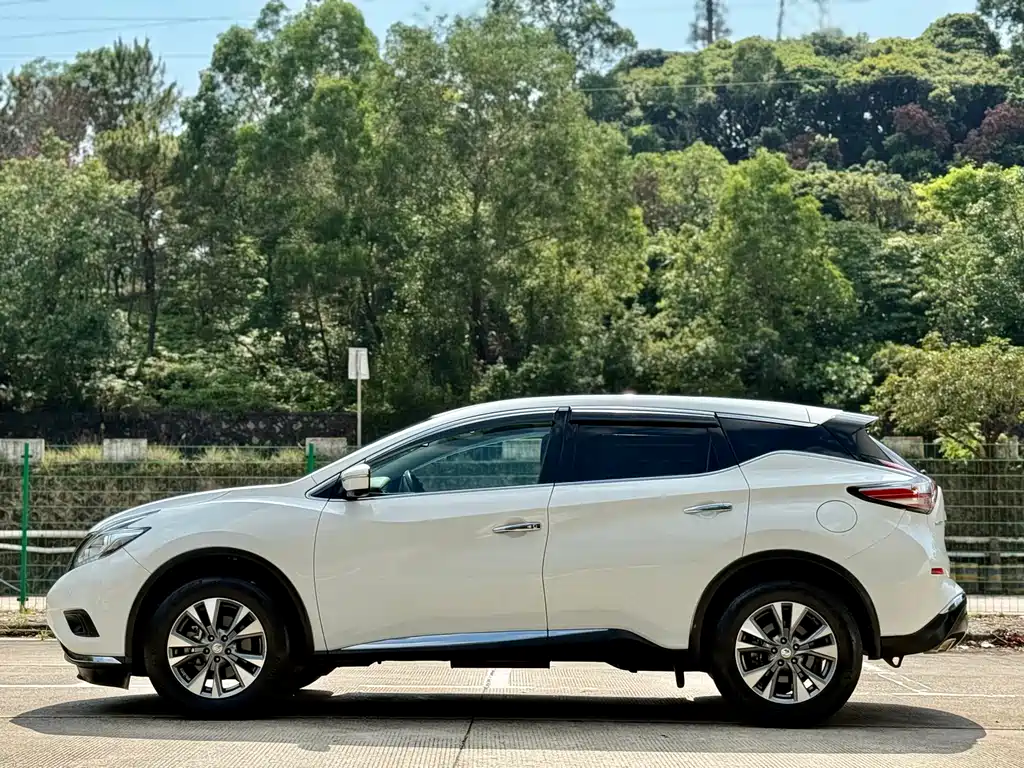 Nissan Murano 2019 2.5L XL Luxury VI