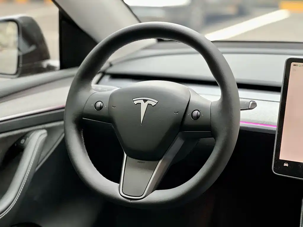 Tesla Model Y — миниатюра 10