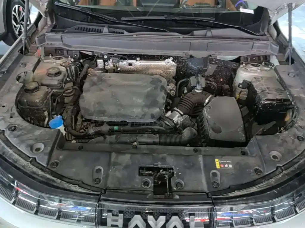 Haval Xiaolong MAX — миниатюра 20