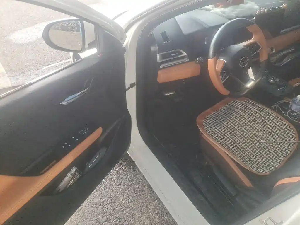 BYD e2 — миниатюра 12