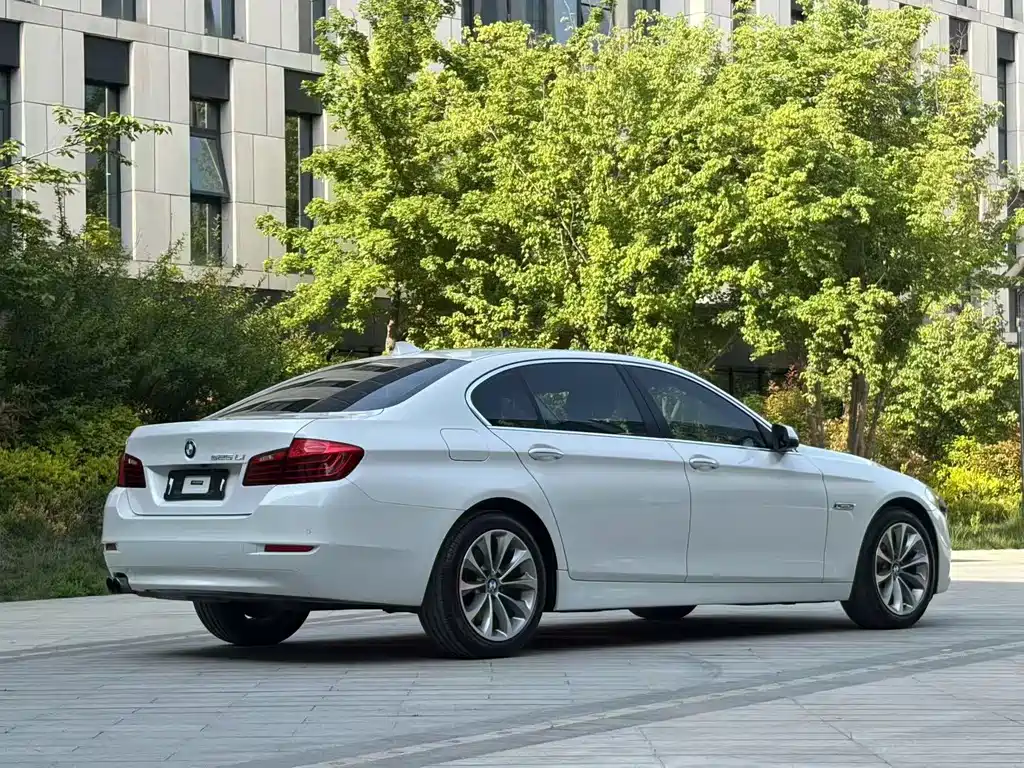BMW 5 Series 5 2017 525Li Lead