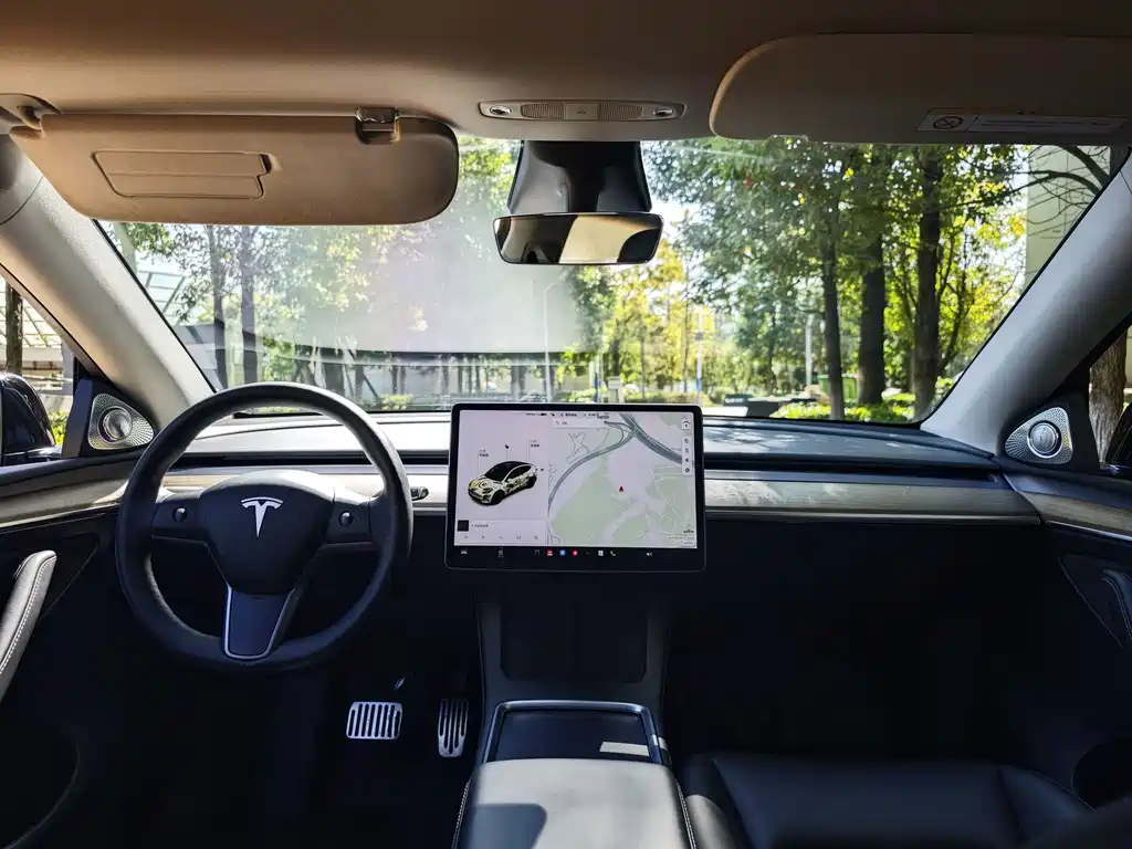 Tesla Model Y — миниатюра 4
