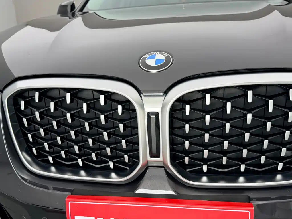 BMW X4 — миниатюра 4