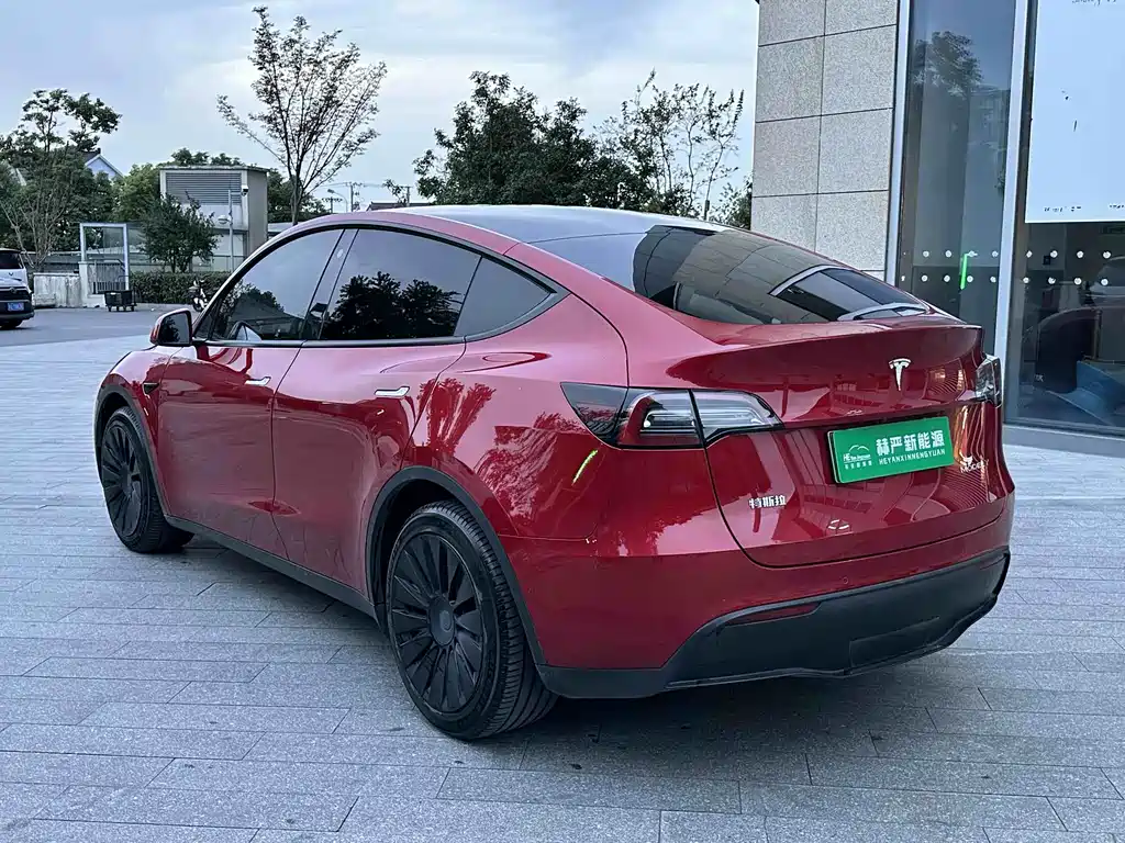 Tesla Model Y — миниатюра 7