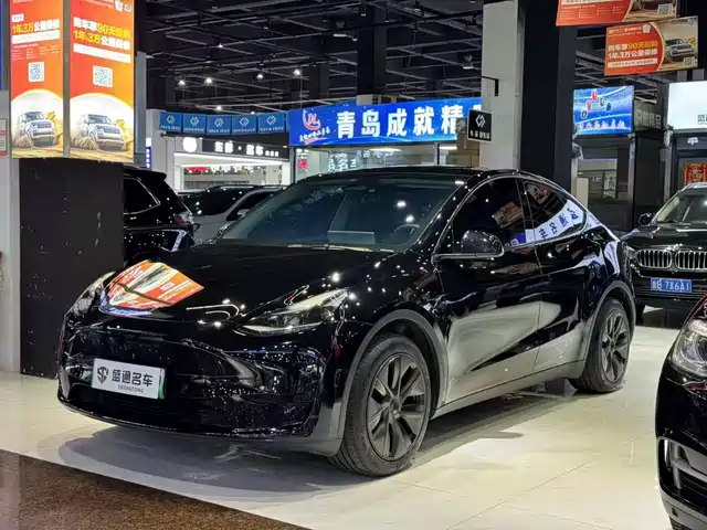 TESLA MODEL Y 2024