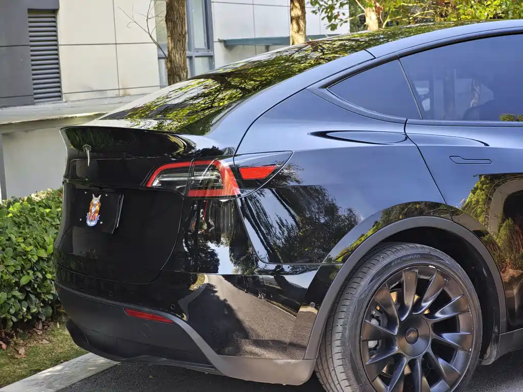 Tesla Model Y — миниатюра 16