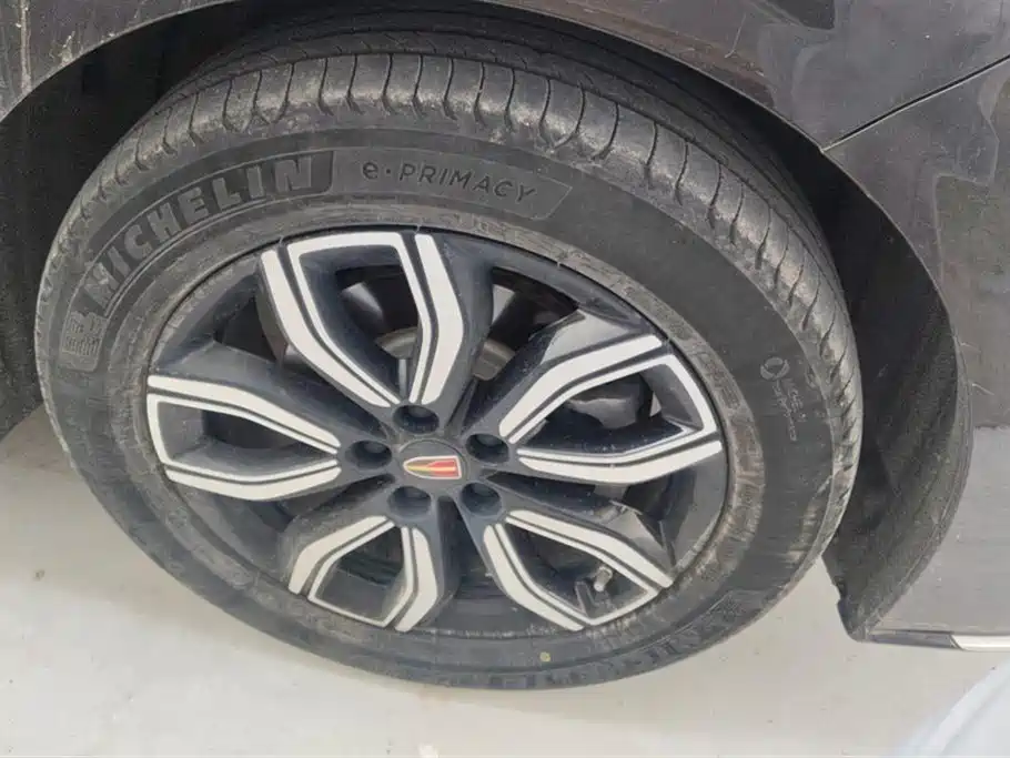 Hongqi HQ9 2023 2.0T