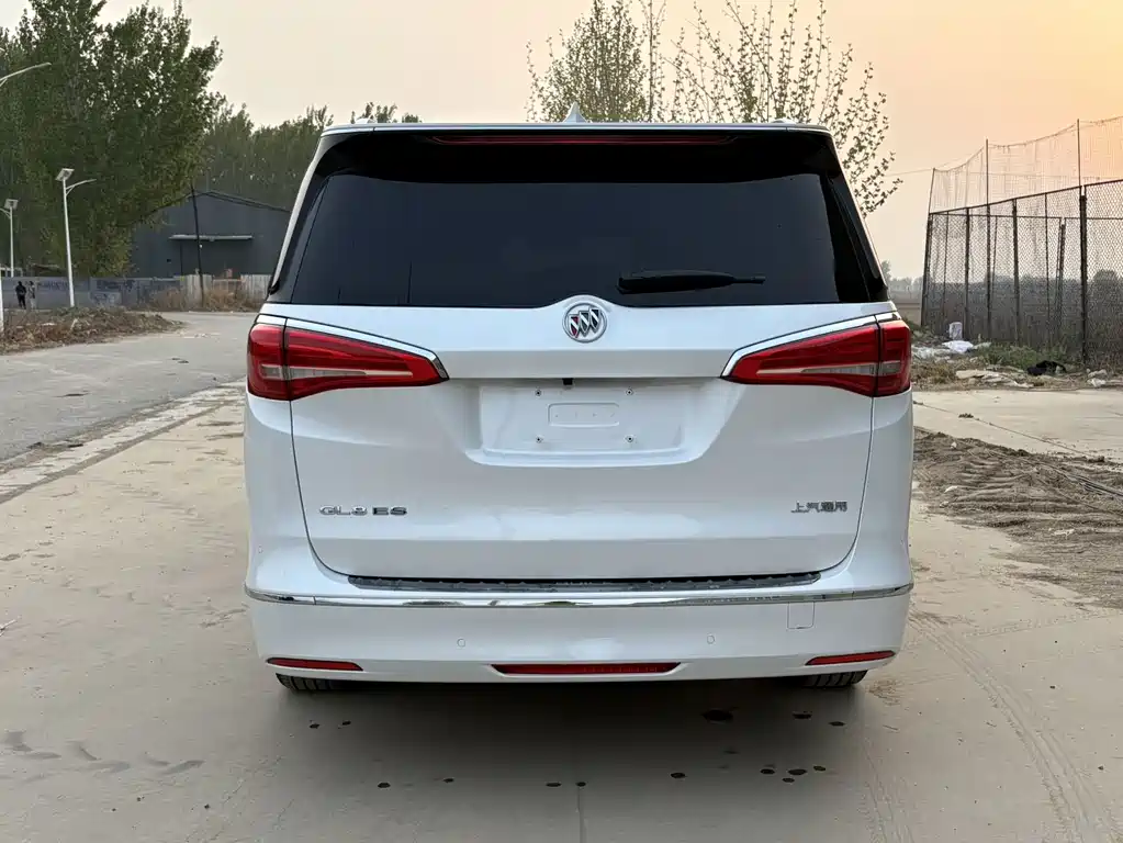 Buick GL8 — миниатюра 5